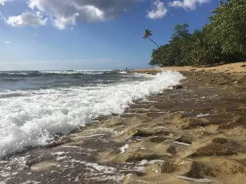 Apartment Comfy And Quiet Beachy Bungalow Rincon Puerto Rico